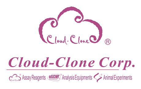 Cloud Clone Corp